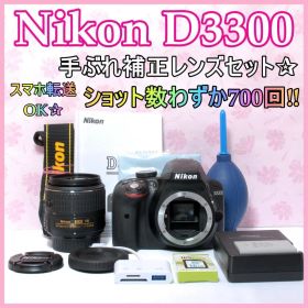 ⭐️スマホ転送OK⭐️Nikon D3300 ニコン デジタル一眼レフ カメラ