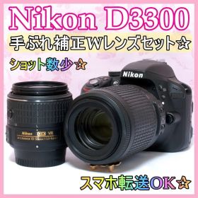 ⭐️ダブルレンズセット⭐️Nikon D3300 ニコン デジタル一眼レフ
