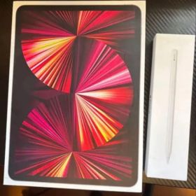 Apple iPad Pro 11インチ 第3世代 Apple pencil付
