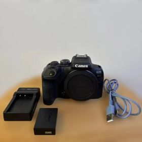 Canon EOS R10 ボディ（難あり）