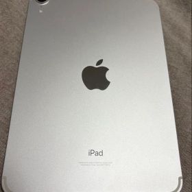 iPad mini 2021 (第6世代) Celler モデル 新品 70,000円 中古 | ネット