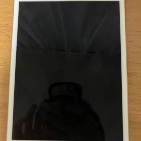 Apple iPad mini 4 64GB ゴールド 本体