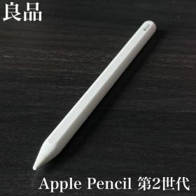良品 正常動作品 Apple Pencil 第2世代 MU8F2J/A r14