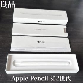 良品 付属品有り Apple Pencil 第2世代 MU8F2J/A R6