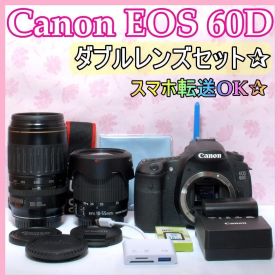 ⭐️ダブルレンズセット⭐️Canon EOS 60D デジタル一眼 キャノン