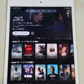 バッテリー93%【iPad mini 5世代 64GB WiFi】