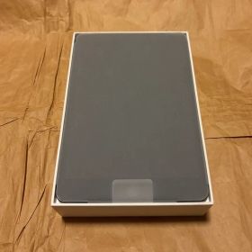 未使用 Apple iPad mini 第5世代 64GB SIMフリー
