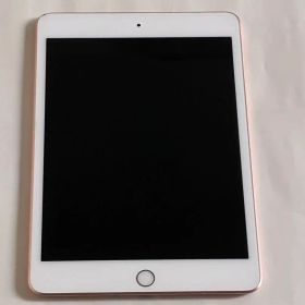 【送料無料】Apple iPad mini 第5世代 Wi-Fiモデル ジャンク