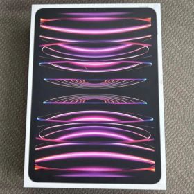 iPad Pro11インチ 第4世代 256GB セルラー スペースグレー 美品