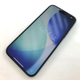 【キズあり品】iPhone 15 Plus/128GB/352459165499981