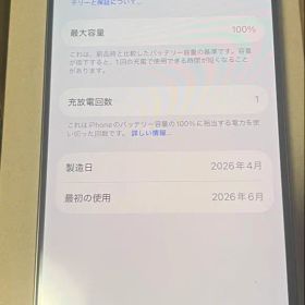 Apple iPhone 16 Pro 512GB 本体のみ方充電回数1回