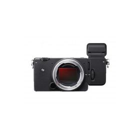 ふるさと納税 磐梯町 ミラーレスカメラ SIGMA fp L + ELECTRONIC VIEWFINDER EVF-11
