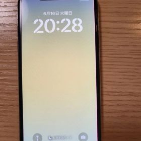 Apple iPhone X 64GB 背面ひび割れ