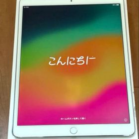 iPad Pro 10.5 64GB WiFi + Cellular シルバー
