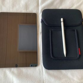 iPad Pro 10.5インチ 256GB WiFi モデル A1701 本体
