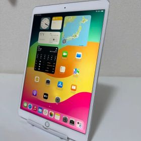 Apple iPad Pro 10.5インチ 256GB 本体