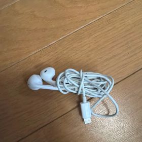 Apple EarPods with Lightning Connector