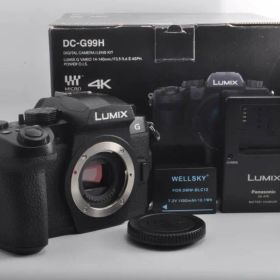 新品級の極上美品 Panasonic LUMIX G99 ボディ DC-G99H
