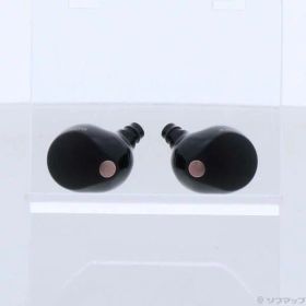 【中古】SONY(ソニー) WF-1000XM5 ブラック 【349-ud】