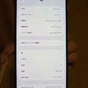 海外版iPhone 16 Pro Max 256GB,美品,バッテリー99％
