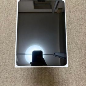 iPad Pro 11インチ 第3世代 256GB