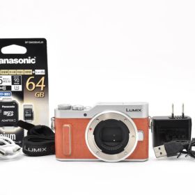 パナソニック Lumix DC-GF10 ミラーレスデジタルカメラボディブラウン
