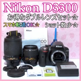⭐️望遠レンズセット⭐️Nikon D3300 ニコン デジタル一眼レフ
