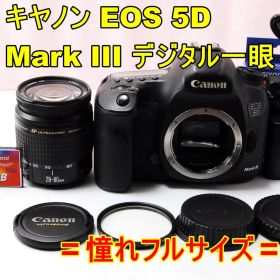 〓動作品・キズ破損あり〓キヤノン EOS 5D Mark III デジタル一眼