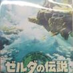 NINTENDO SWITCH ゼルダの伝説 ティアーズ オブ ザ キングダム NINTENDO