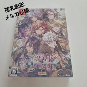 【新品・未開封品】マツリカの炯-kEi- 天命華燭伝 Switch FD 特装版