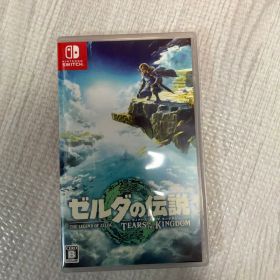 ゼルダの伝説 ティアーズ オブ ザ キングダム Switch