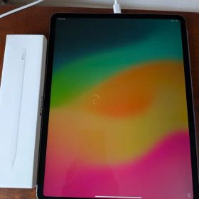 Apple iPad Pro 12.9インチ 第4世代 本体