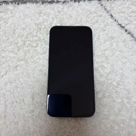 Apple iPhone 13 本体 256GB