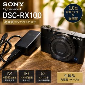 SONY Cyber-shot DSC-RX100 充電器付 動作確認済