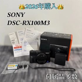 【2026年購入】SONY DSC-RX100M3 付属品多数