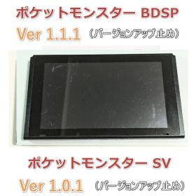switch スイッチ本体 SV Ver. 1.0.1 BDSP 1.1.1