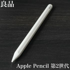 良品 正常動作品 Apple Pencil 第2世代 MU8F2J/A r12