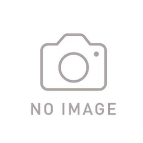 【メーカー在庫あり】 CHDHF-111-FW CHDHF111FW GoPro，INC GoPro HERO11 Black Mini HD店