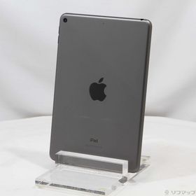 (中古)Apple iPad mini 第5世代 64GB スペースグレイ MUQW2J/A Wi-Fi(377-ud)