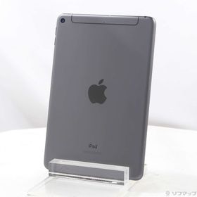 (中古)Apple iPad mini 第5世代 256GB スペースグレイ MUXC2J/A SIMフリー(368-ud)