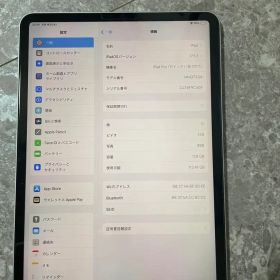 Apple iPad Pro 11インチ 第3世代 本体