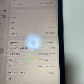 Apple iPad Pro 11インチ 第2世代 256GB 本体
