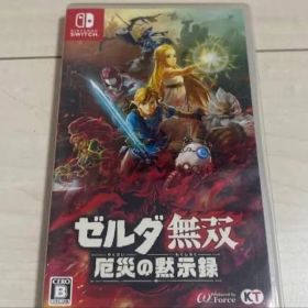 抹*茶様 ゼルダ無双 厄災の黙示録 Switch ソフト 動作確認済