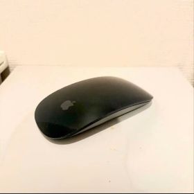 Apple Magic Mouse2 本体 スペースグレイ