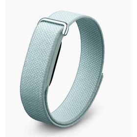Google Fitbit Air[Fog]