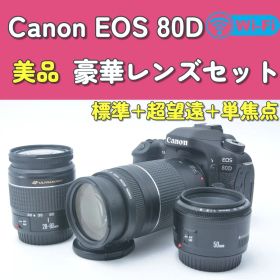 【美品】Canon EOS 80D レンズ3本 単焦点 超望遠 人気機種 中級機