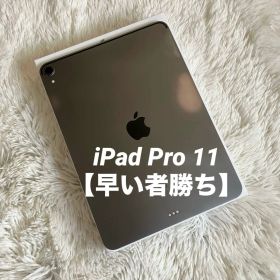 【完動品】iPad Pro 11インチ 第1世代 256GB 【すぐ発送】