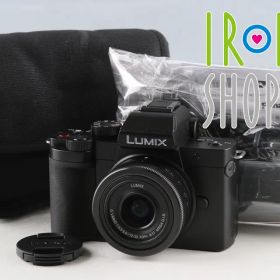 Panasonic LUMIX DC-G100D + G Vario 12-32mm F3.5-5.6 ASPH. MEGA O.I.S. #64904E4
