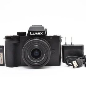 ★極上美品★《ショット数491回》パナソニック Panasonic LUMIX DC-G100 12-32mm 標準ズームレンズキット★ YM1185＃49