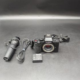 【撮影OK】 Panasonic DC-G100 DMW-SHGR1